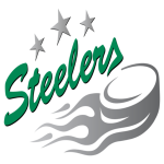 1200px-bietigheim_steelers_log